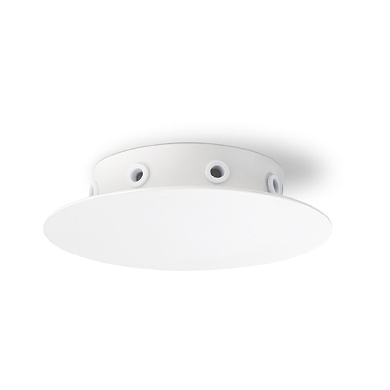 foto del prodotto rosone multicavo 8 fori in metallo bianco opaco d15cm