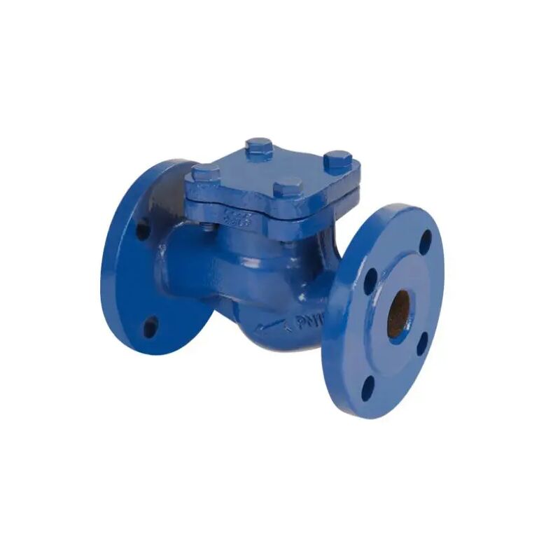 foto del prodotto roth - valvola di ritegno a clapet orizzontale in ghisa serie scv-50 pn16 dn50 ambra water