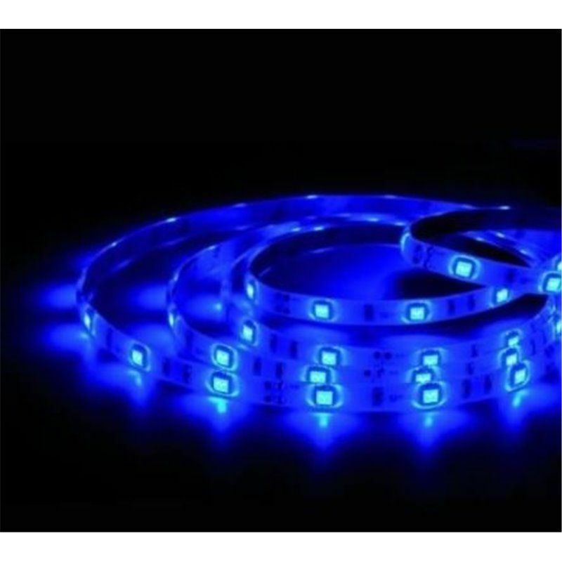 foto del prodotto rotolo 5m led smd2835 6w blu ip20 24v in blister gsc 204030005