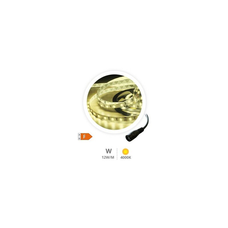 foto del prodotto rotolo 5m striscia led 12w m 4000 4500k ip44 24v