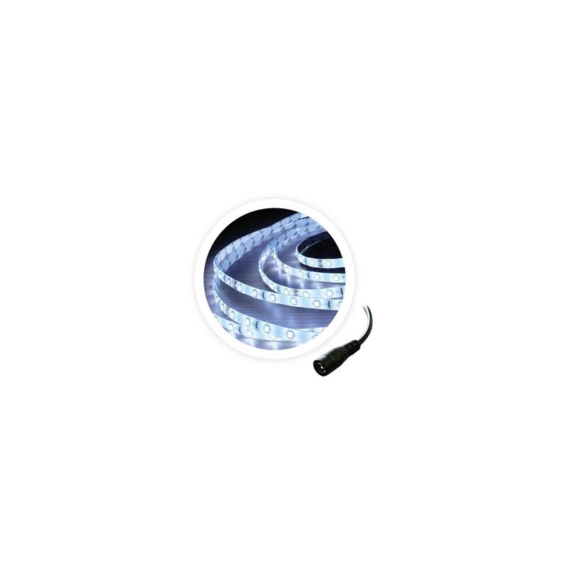 foto del prodotto rotolo 5m striscia led 6w m 6000 6500k 24v