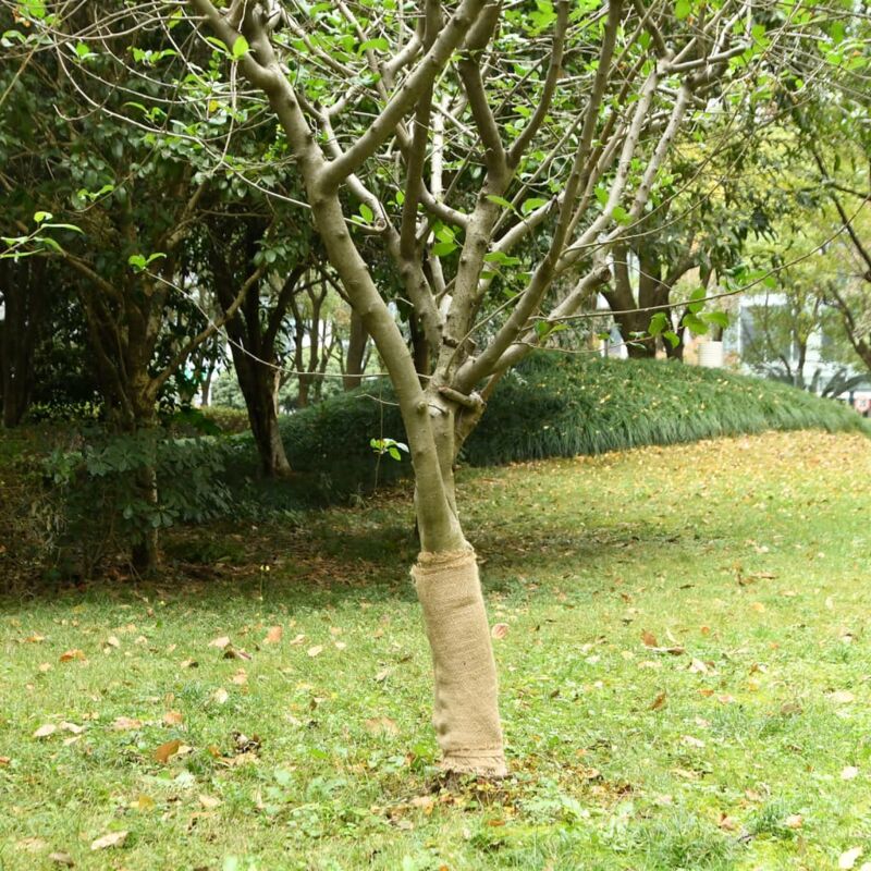 foto del prodotto rotolo in iuta 0,5x25 m 100 iuta 200 gsm vidaxl