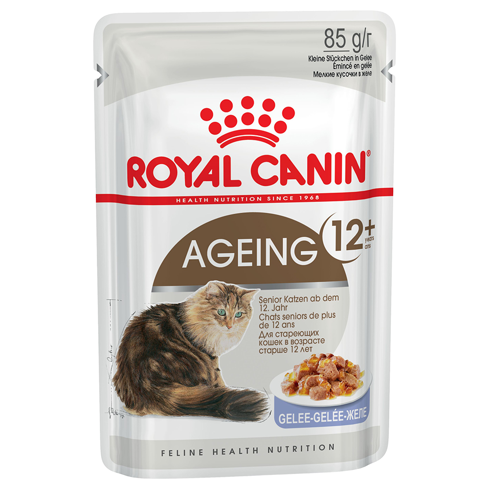 foto del prodotto royal canin ageing 12 umido in gelatina per gatti 12 x 85 g