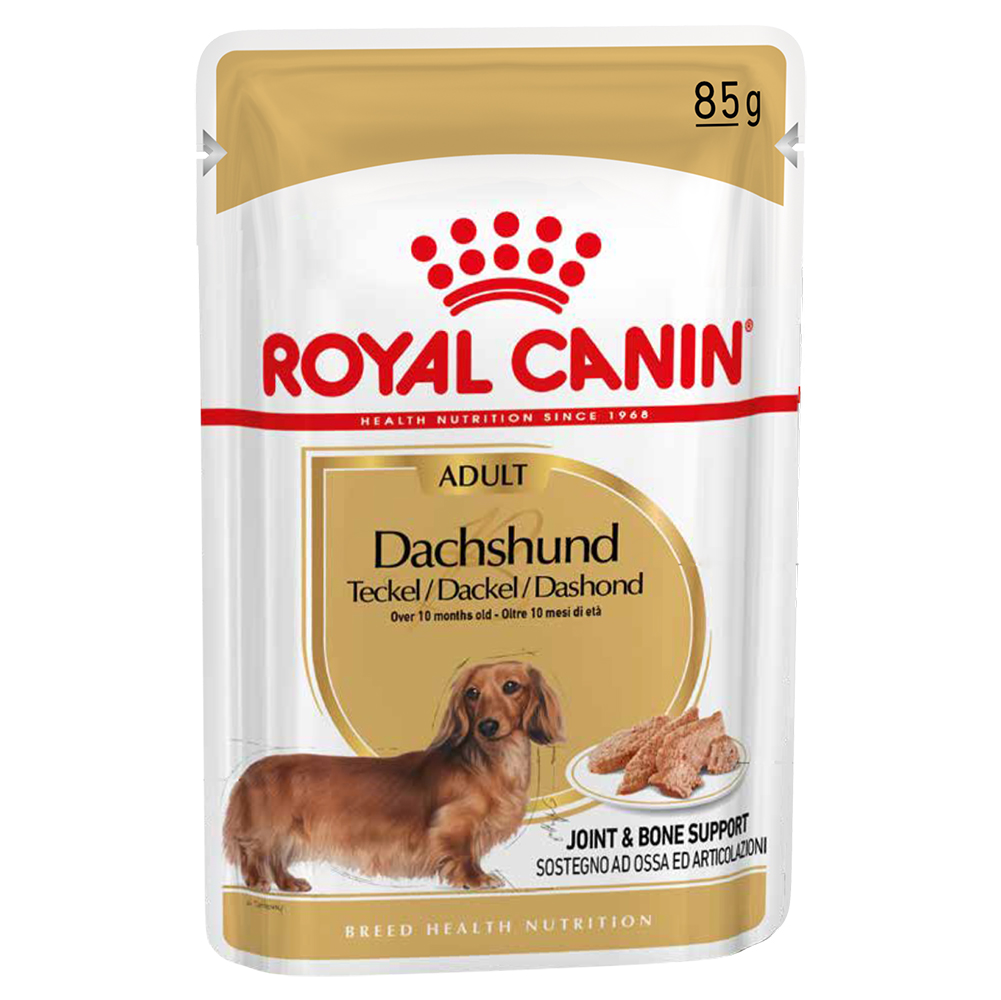 foto del prodotto royal canin bassotto dachshund adult crocchette - come integrazione 24 x 85 g umido royal canin dachshund