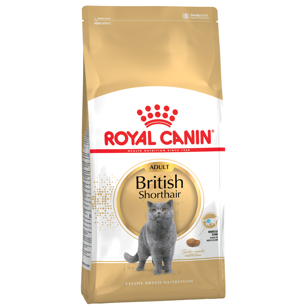 foto del prodotto royal canin british shorthair adult crocchette per gatto 10 kg