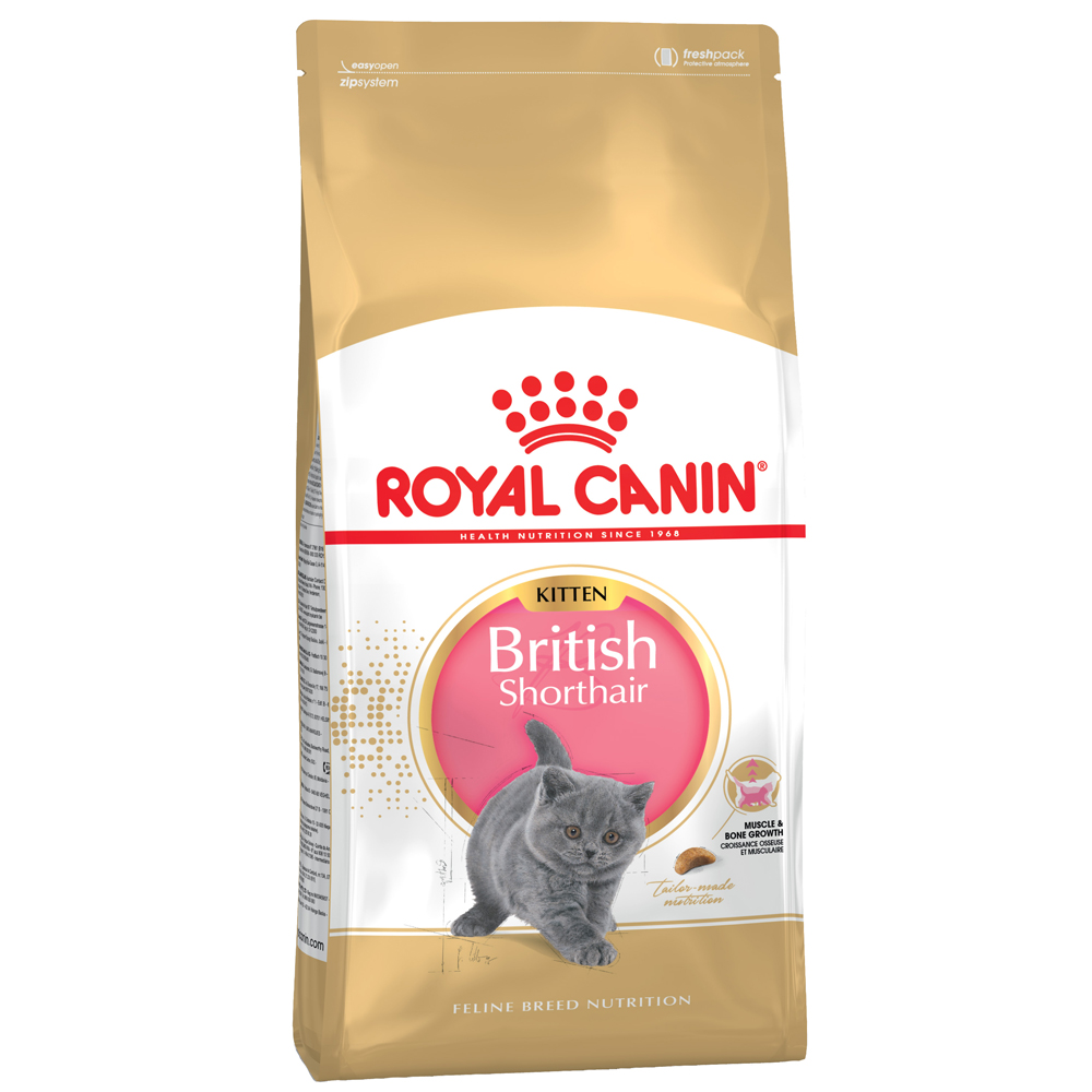 foto del prodotto royal canin british shorthair kitten crocchette per gatto 2 kg