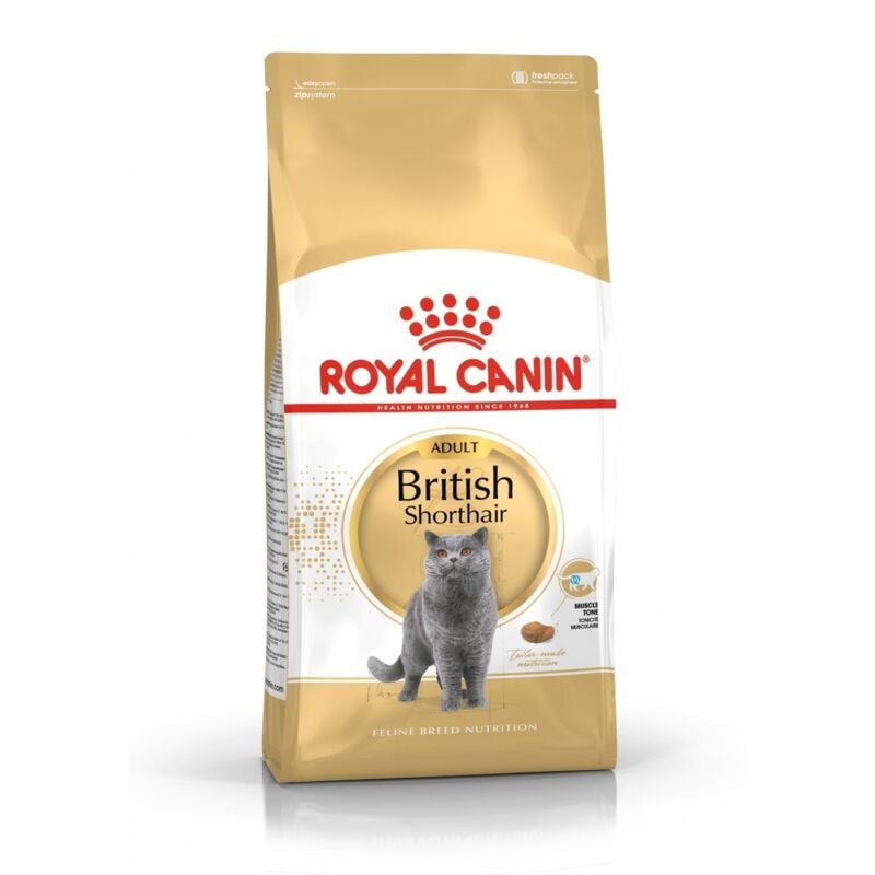 foto del prodotto royal canin - cibo che british shorthair per i gatti adulti - 10 kg