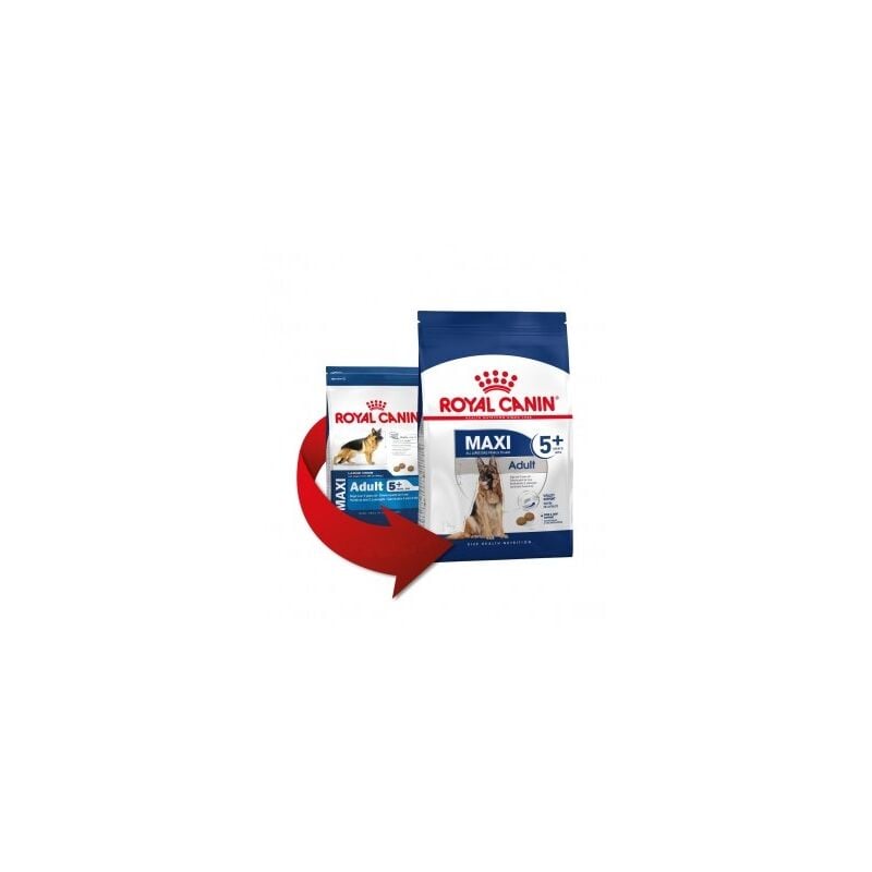 foto del prodotto royal canin cibo che maxi adulto 5 cani grandi cani da 5 anni 4 kg