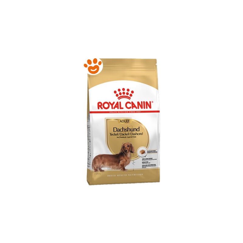 foto del prodotto royal canin dog adult dachshund bassotto dog adult dachshund bassotto sacco da 1,5 kg