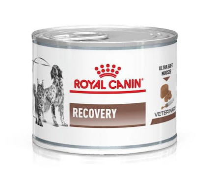 foto del prodotto royal canin dog e cat veterinary diet recovery dog e cat veterinary diet recovery lattina da 195 gr