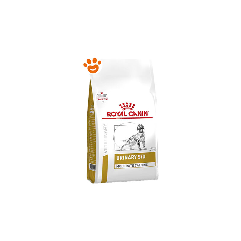 foto del prodotto royal canin dog veterinary diet urinary s o moderate calorie dog veterinary diet urinary s o moderate calorie sacco da 1,5 kg