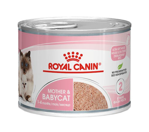 foto del prodotto royal canin gatto mother amp babycat 195 gr