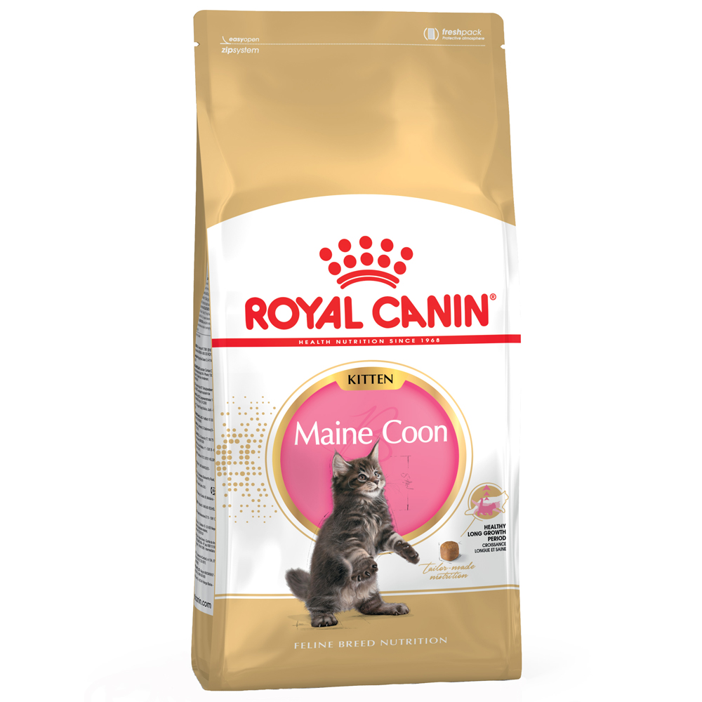 foto del prodotto royal canin maine coon kitten crocchette per gatto 4 kg