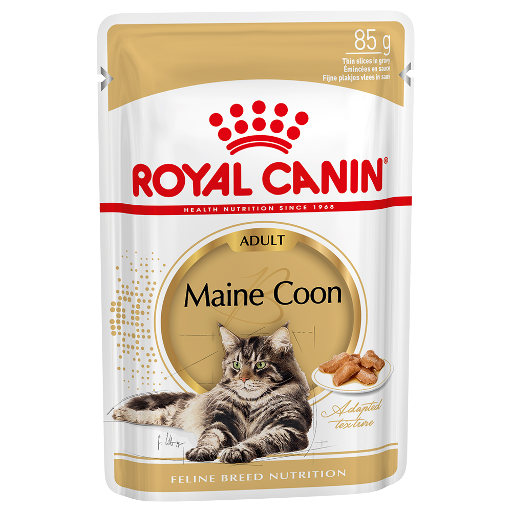foto del prodotto royal canin maine coon umido in salsa per gatti 12 x 85 g