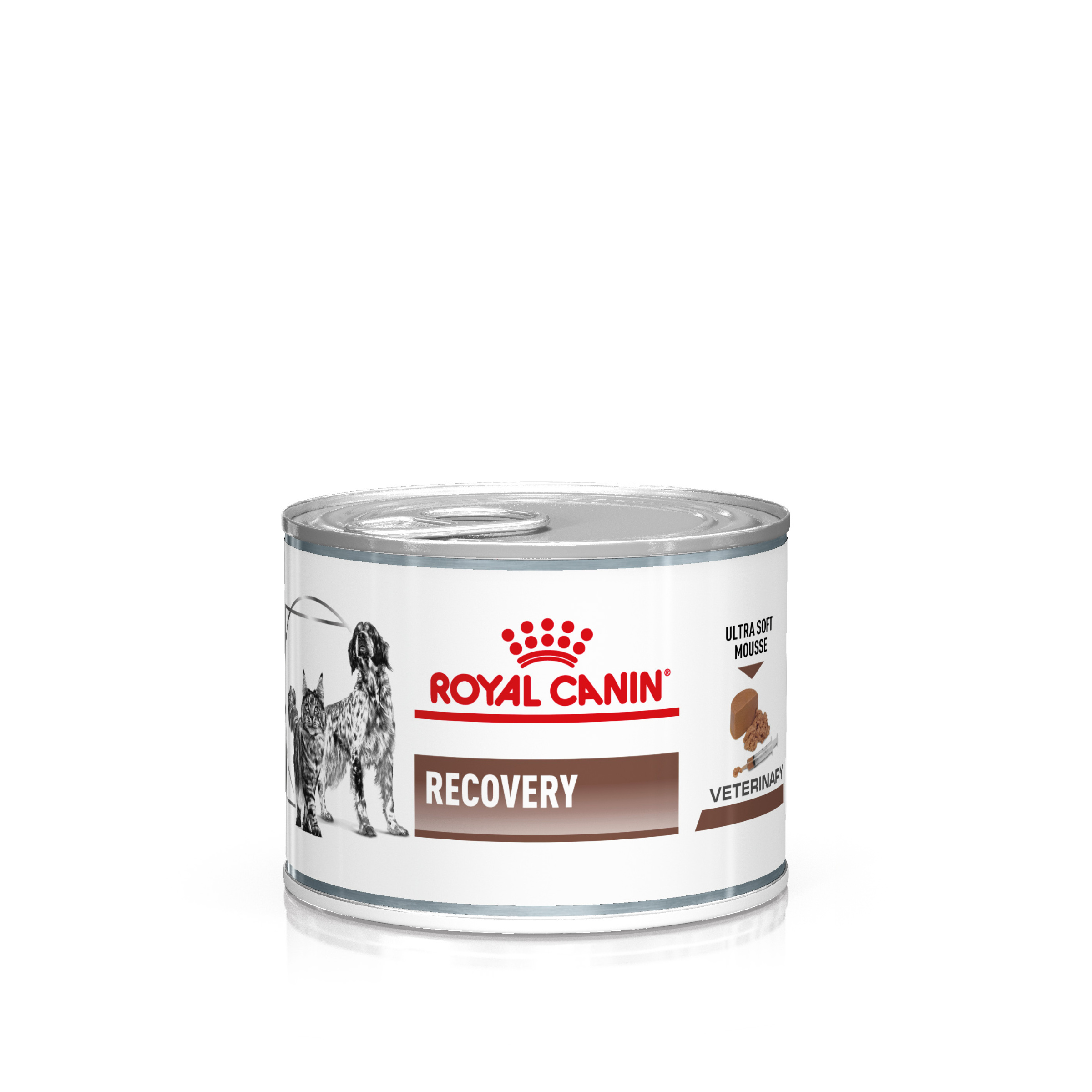 foto del prodotto royal canin recovery veterinary mousse cane e gatto 12 x 195 g
