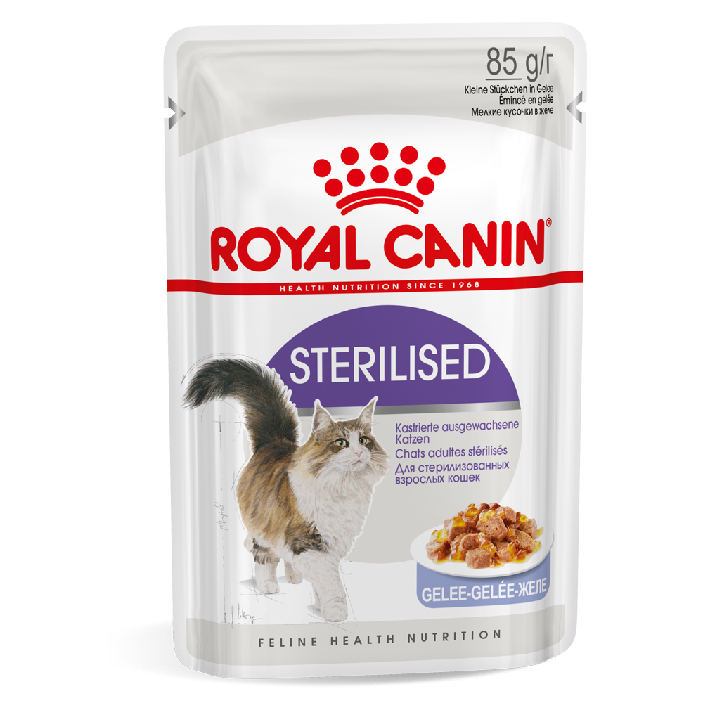foto del prodotto royal canin sterilised umido in gelatina per gatti 12 x 85 g
