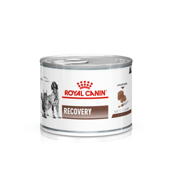 foto del prodotto royal canin veterinary diet recovery cats dogs 195 gr dieta veterinaria per gatti 1 ordine scegli lo sconto bzr5 bzr20 200 punti fedelt 