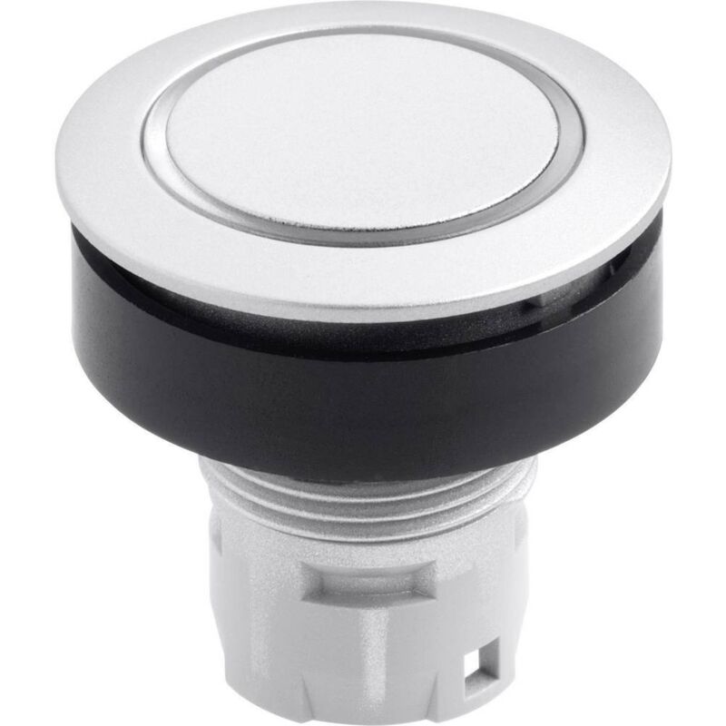 foto del prodotto rrjtlrsil rrjtlrsil pulsante argento 1 pz. schlegel