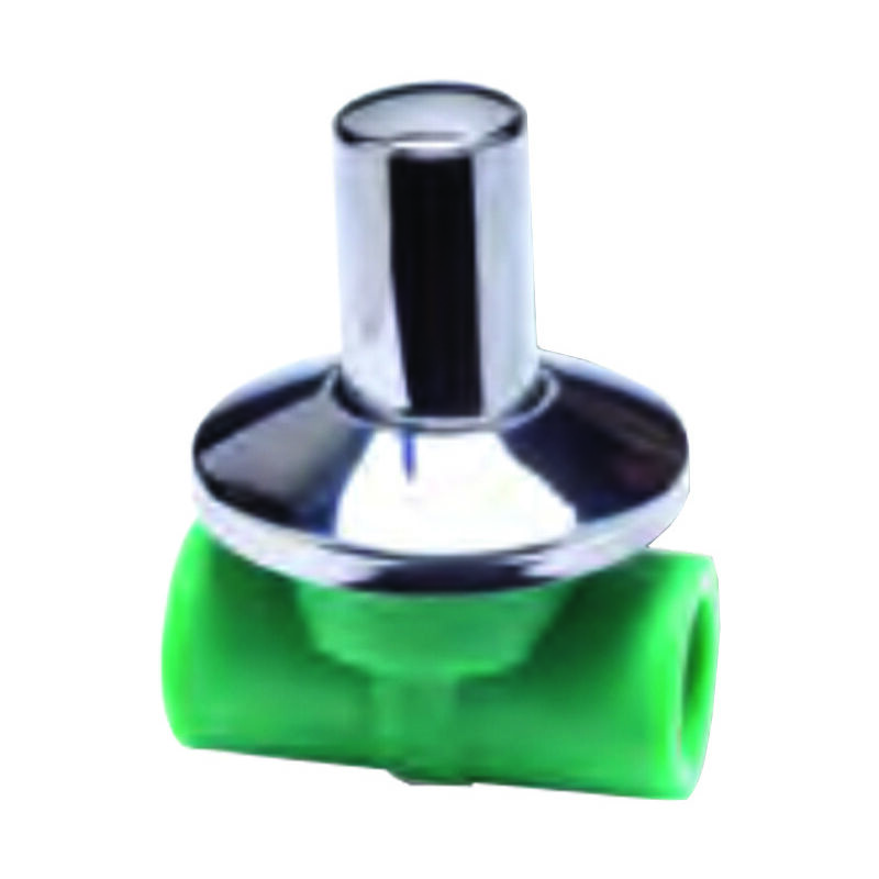 foto del prodotto rubinetto a vitone con cappuccio in ppr mm.25x3 4