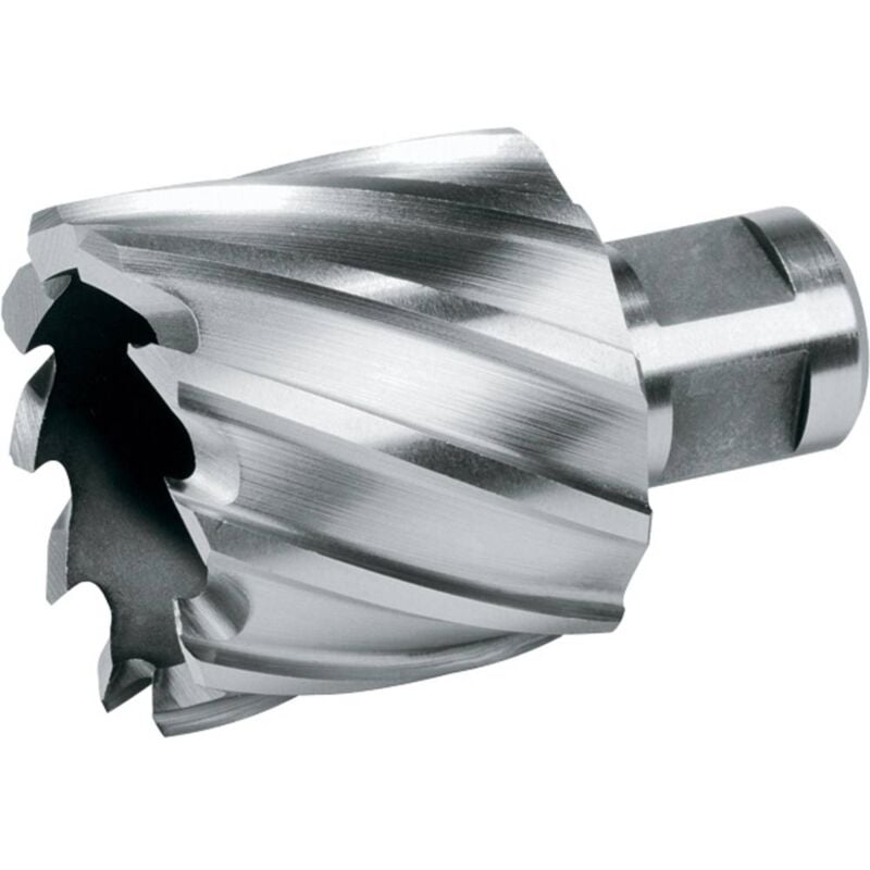 foto del prodotto ruko 108220e punta di foratura 20 mm 1 pz.