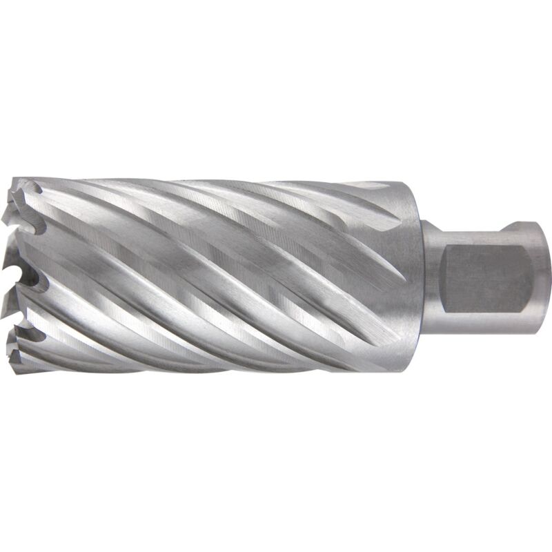 foto del prodotto ruko - carotatrice d.15mm hss da taglio d.55mm weldon