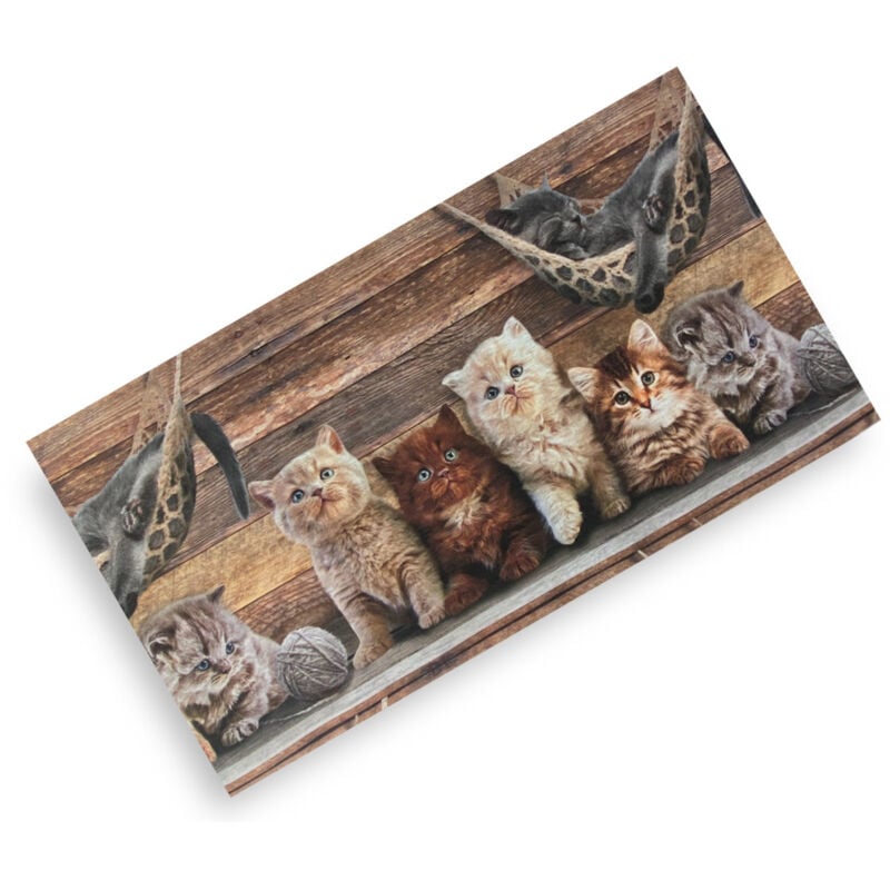 foto del prodotto runner tappeto con gatti passatoia antiscivolo, lavabile, morbido, vari formati made in italy cm. 50x220