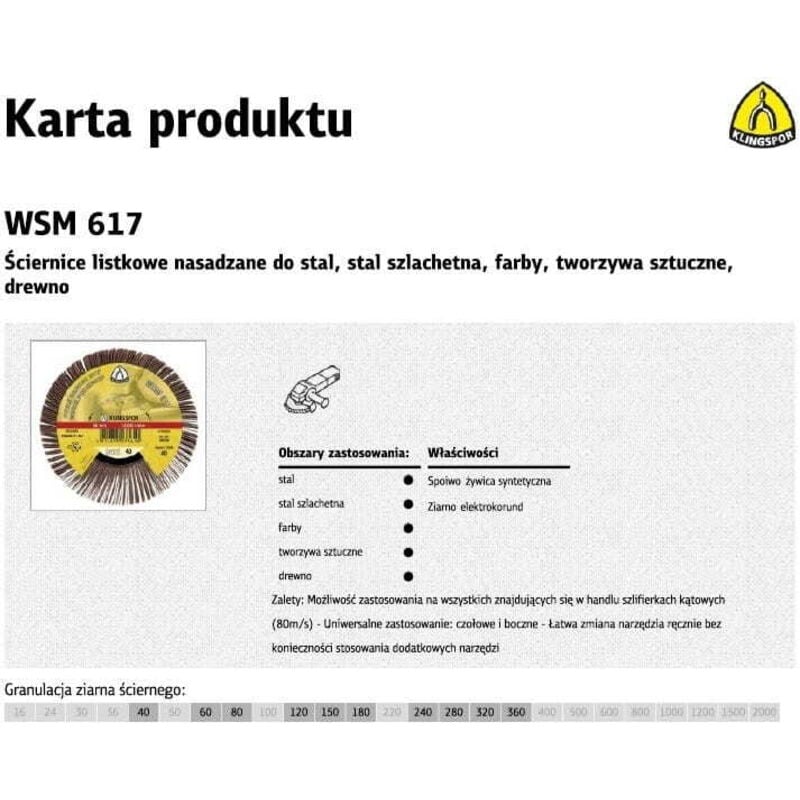 foto del prodotto ruota lamellare klingspor 125mm wsm615 gr.240