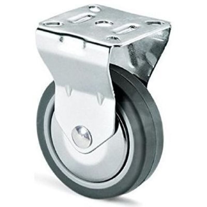 foto del prodotto ruota mobili 220c/h fissa mm 100