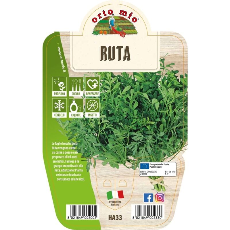 foto del prodotto ruta orto mio
