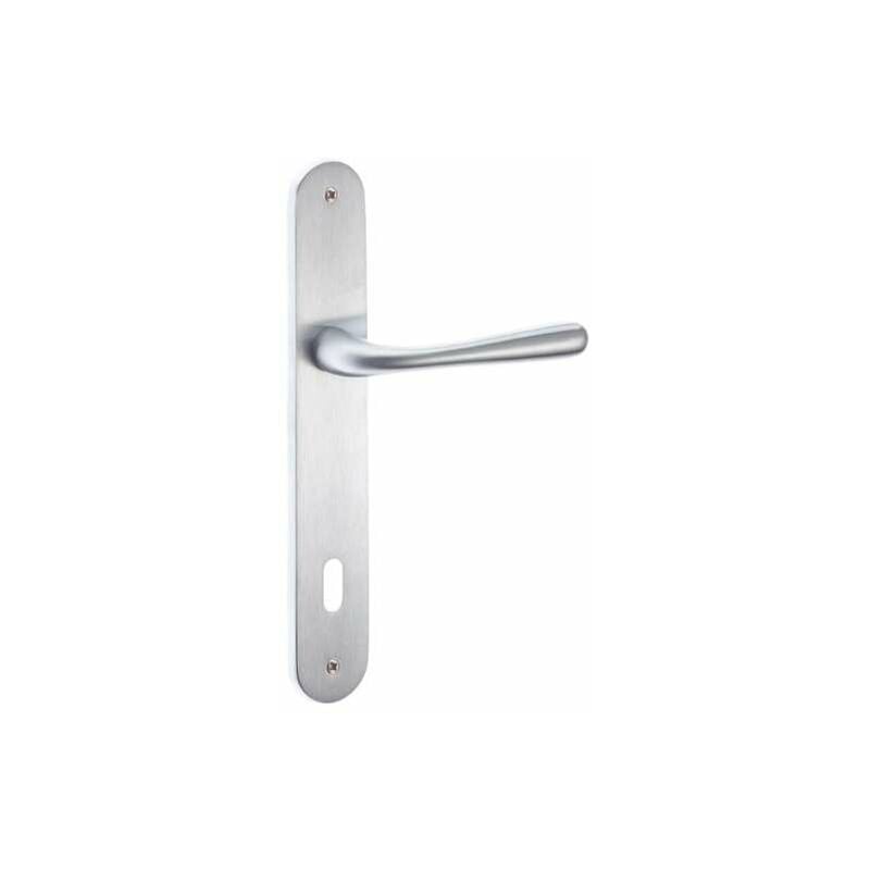 foto del prodotto sacar due maniglia sei zsc placca patent
