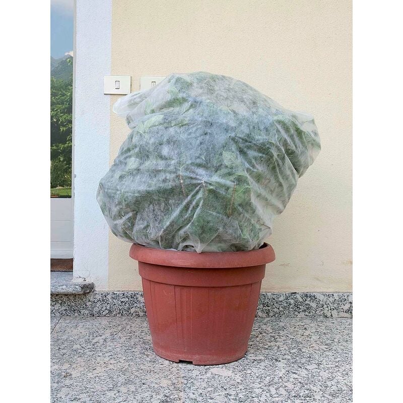 foto del prodotto saccoclima per piante in vaso 1x1,60m 0,60 4pz tenax cappuccio