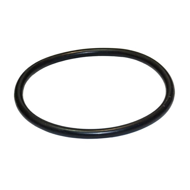foto del prodotto saci pumps o ring prefiltro pompa optima 97,8 x 5,34 