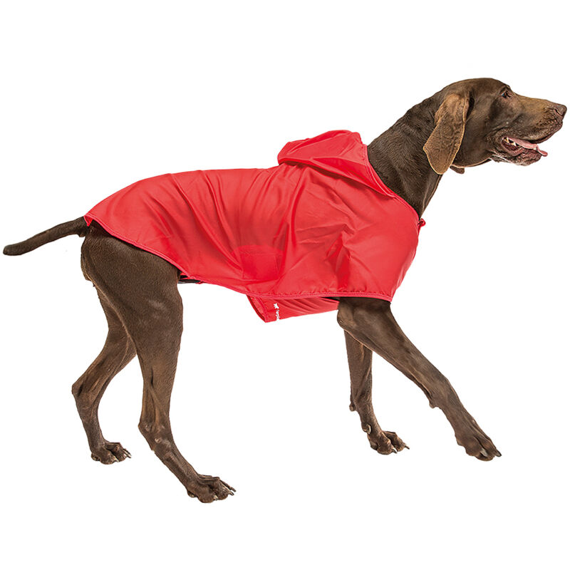 foto del prodotto sailor red mantellina impermeabile e anti vento. varie misure. variante 25 misure 25 cm rosso ferplast