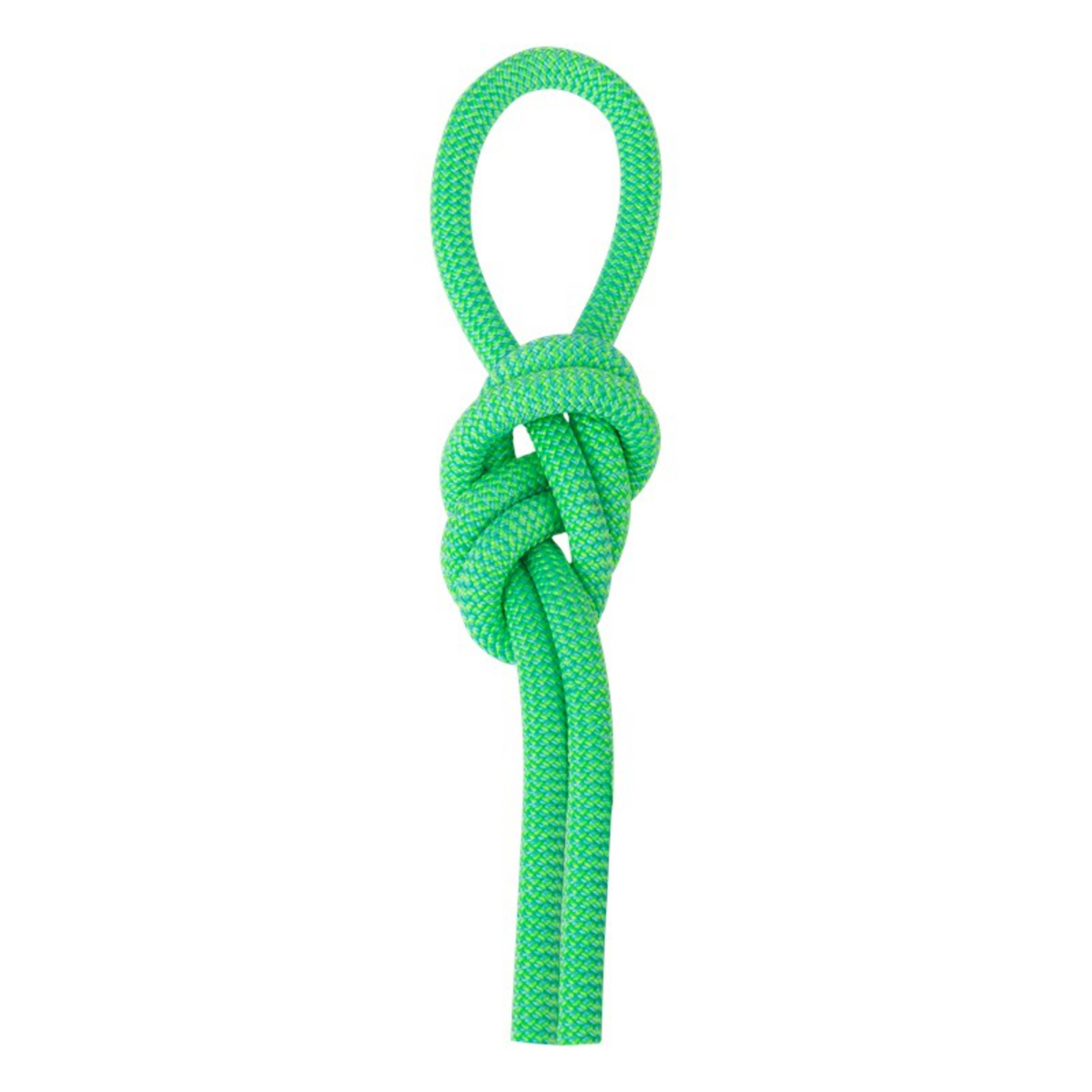 foto del prodotto salewa corde arrampicata speed queen 9.1