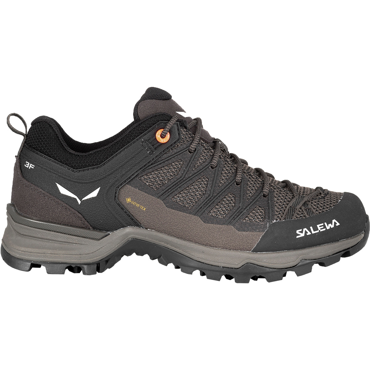foto del prodotto salewa donna scarpe mtn trainer lite gtx
