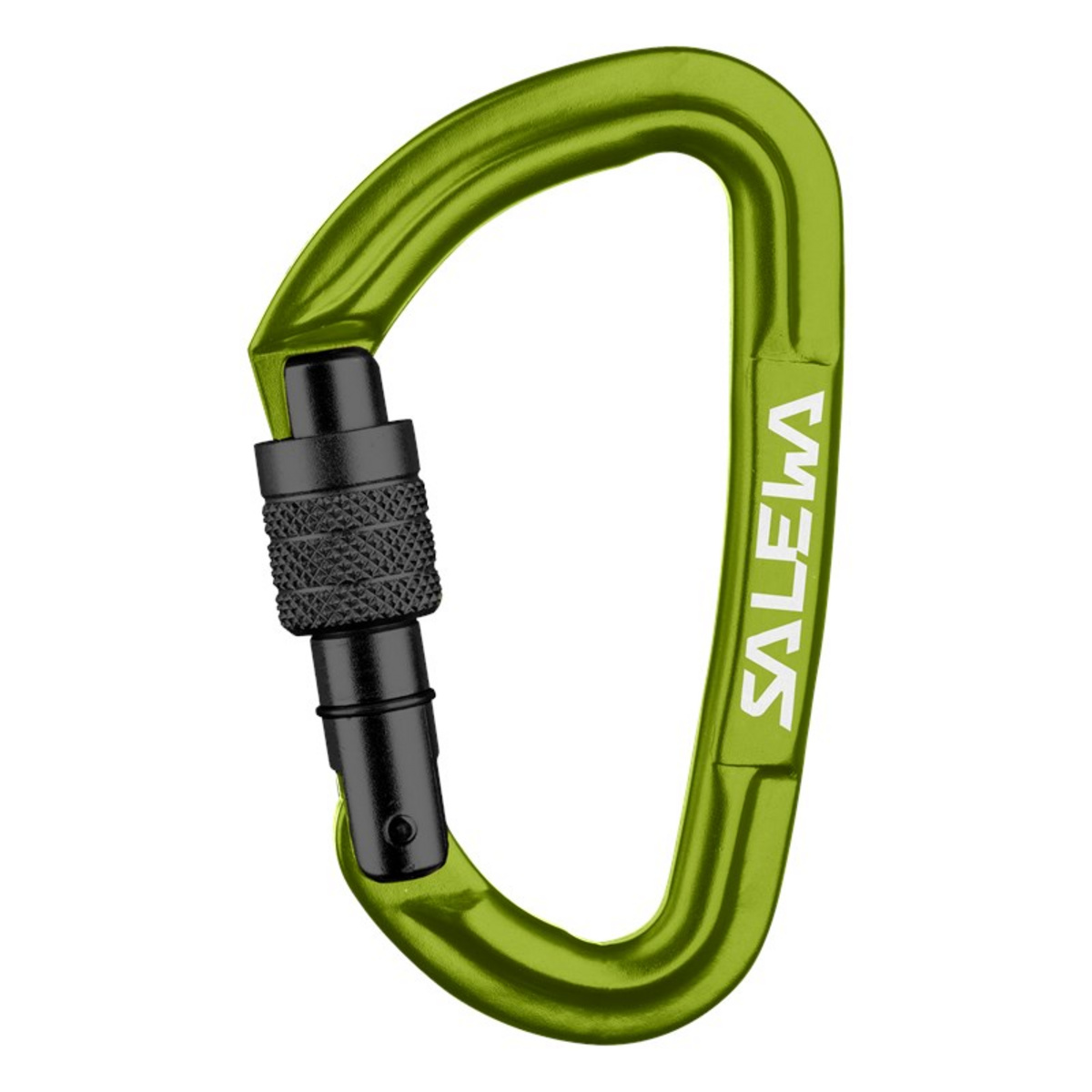 foto del prodotto salewa moschettone hot g3 screw