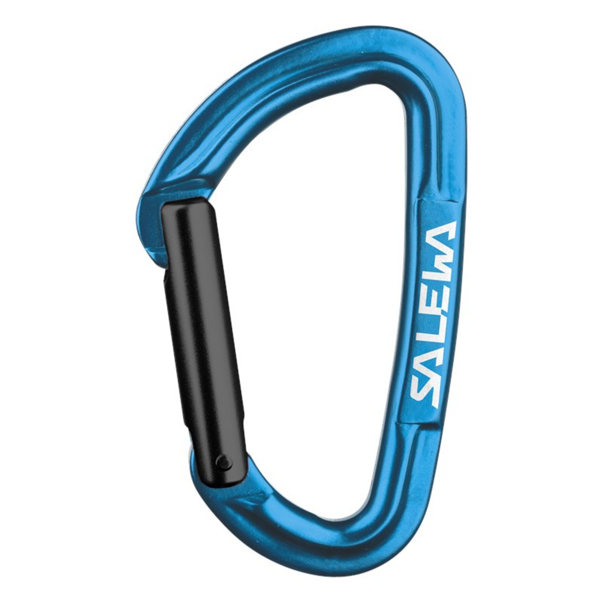 foto del prodotto salewa moschettone hot g3 straight