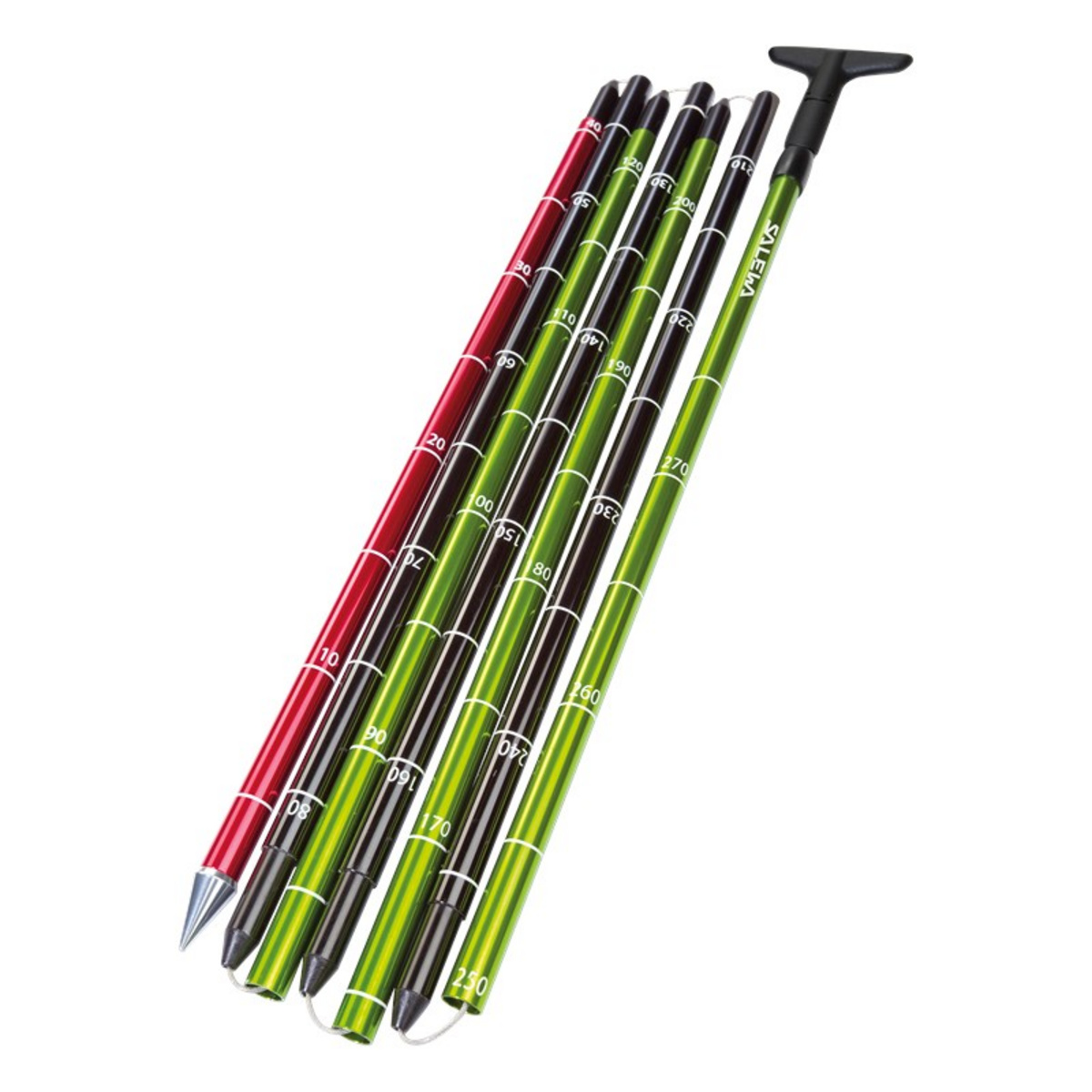 foto del prodotto salewa sonda da valanga lightning 320 pro