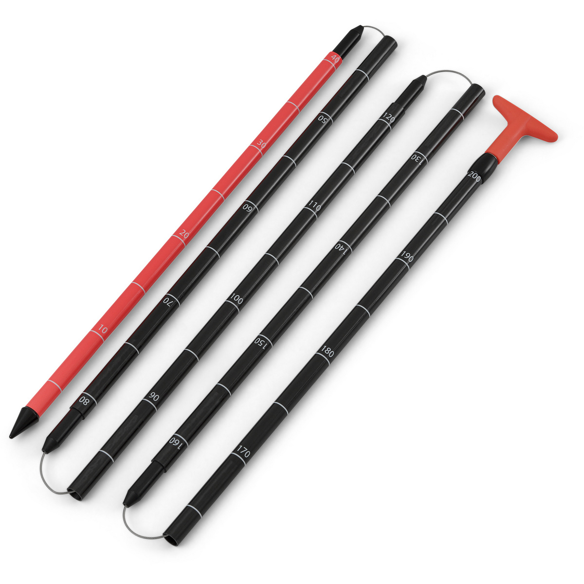 foto del prodotto salewa sonda per valanghe sella carbon 240 plus