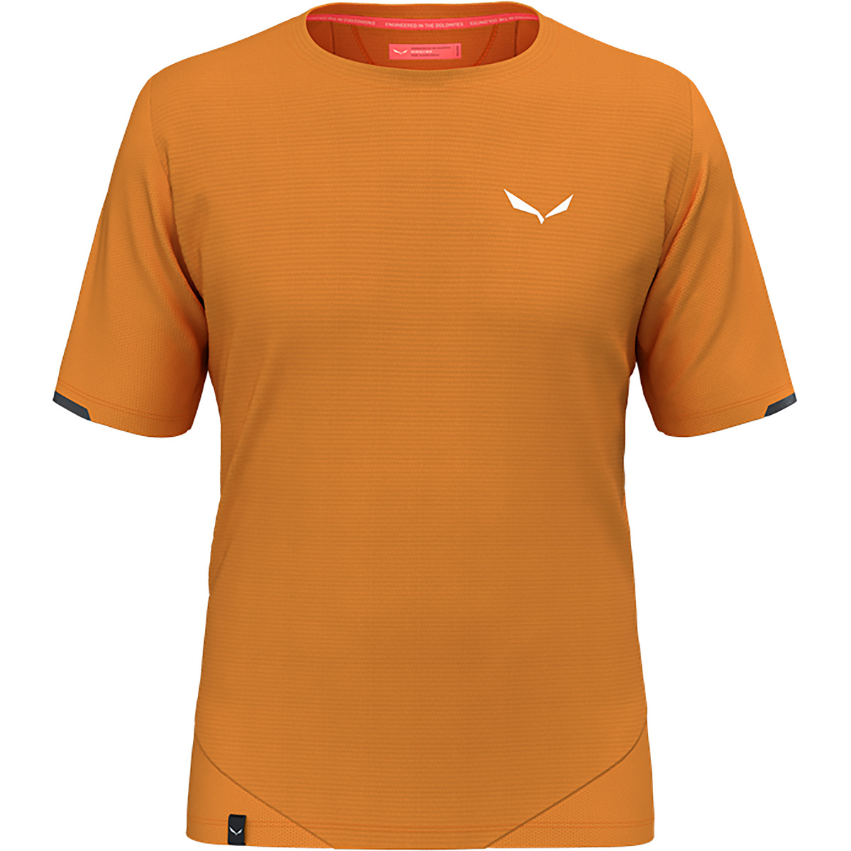 foto del prodotto salewa uomo maglietta pedroc dry mesh