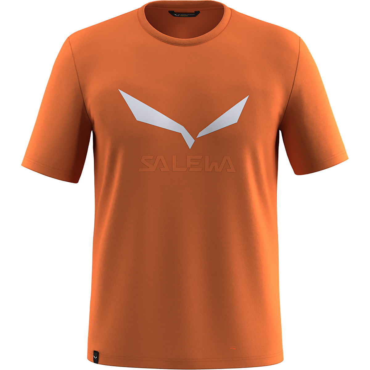 foto del prodotto salewa uomo maglietta solidlogo dri release