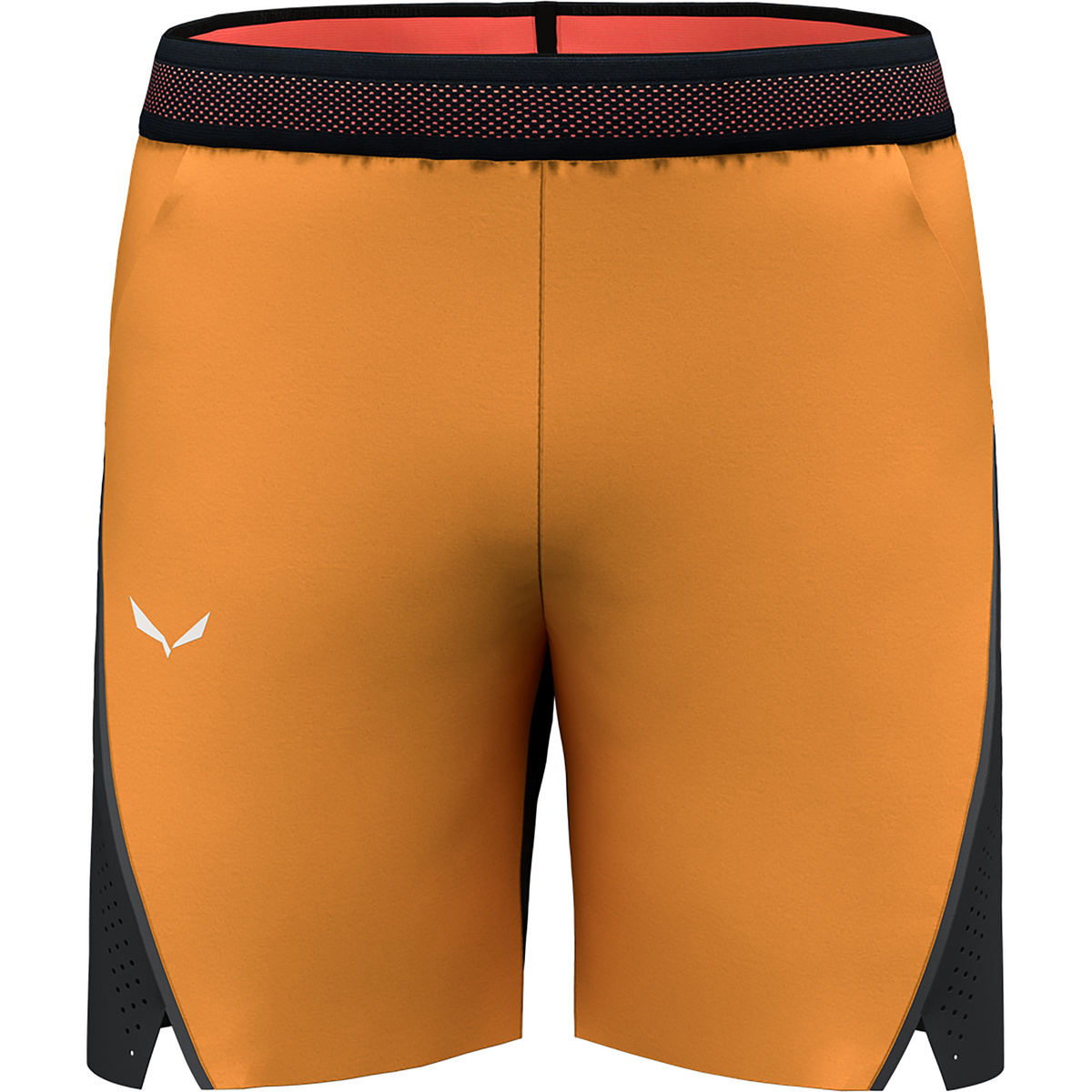 foto del prodotto salewa uomo pantaloncini pedroc 2 dst