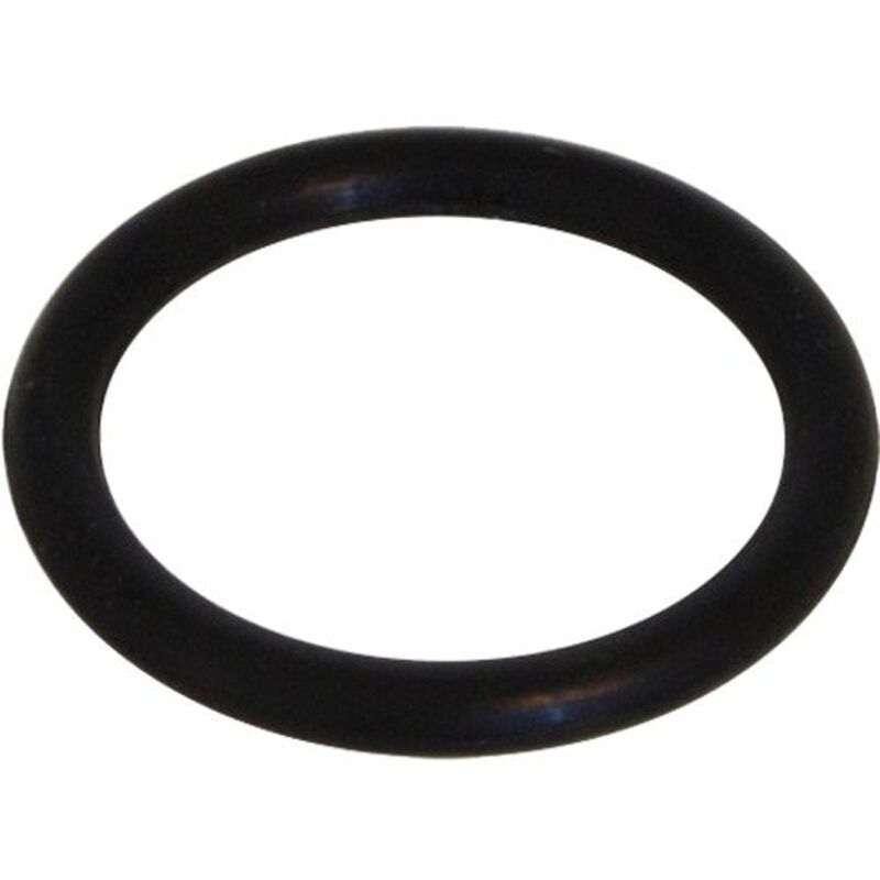 foto del prodotto sanicomfort o ring in gomma per valvola parte superiore, 1837443