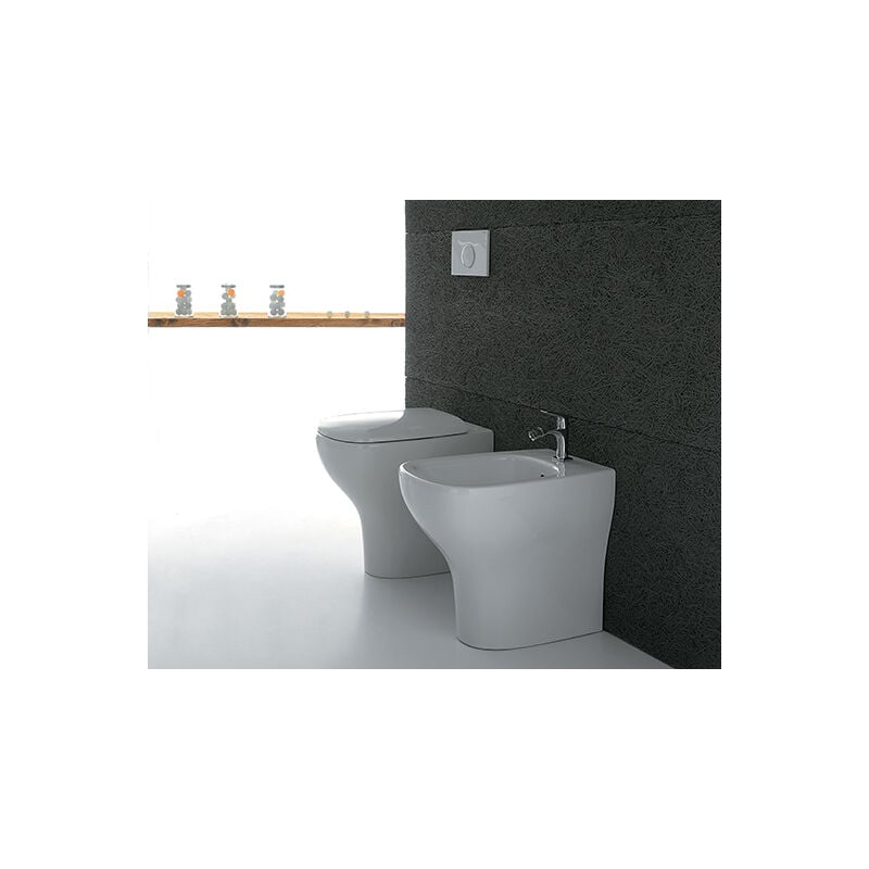 foto del prodotto sanitari argento filomuro rialzati cm. 57x37 con sedile