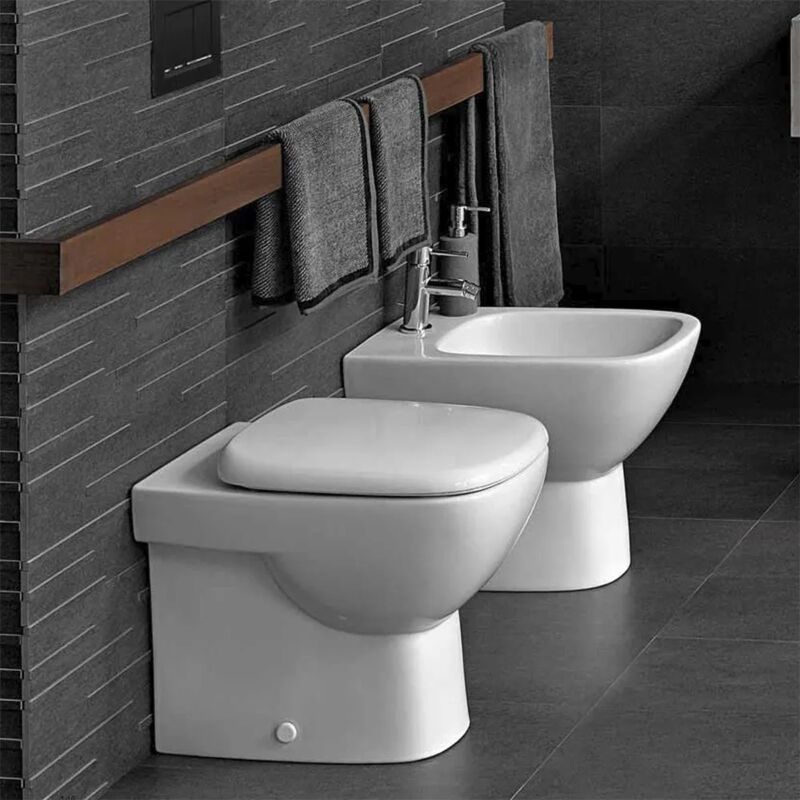 foto del prodotto sanitari filomuro geberit scarico universale e copriwater fantasia