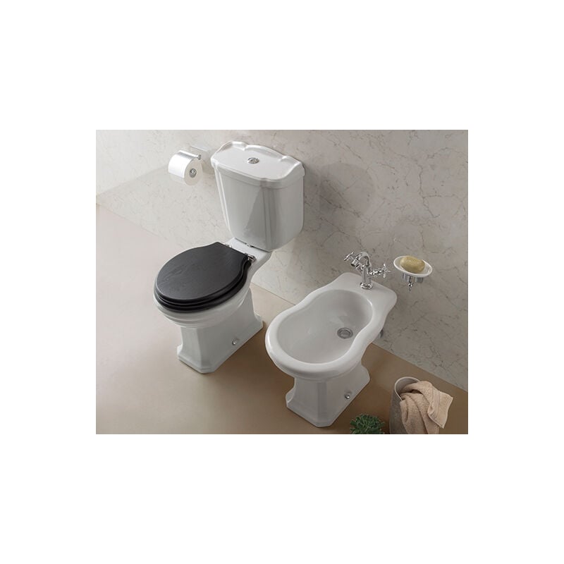 foto del prodotto sanitari paestum monoblocco cm. 67x38 con sedile in