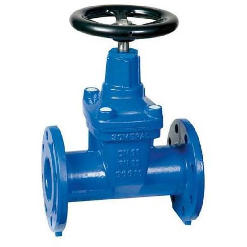 foto del prodotto saracinesca corpo ovale misura dn 80 pn 25