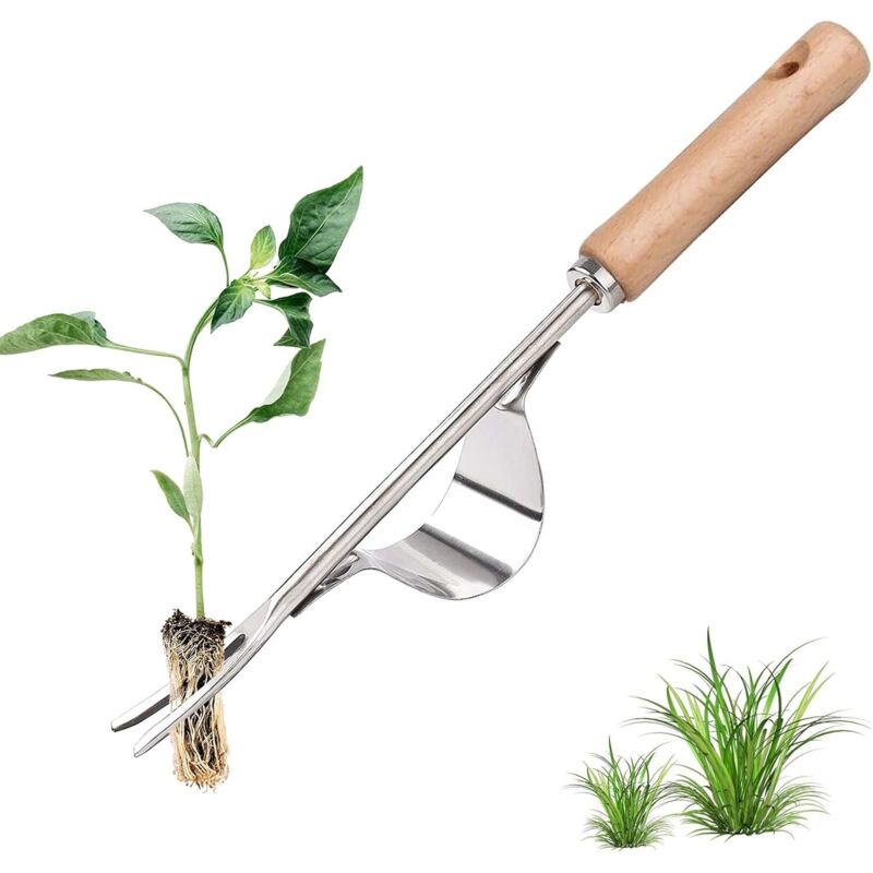 foto del prodotto sarchiatore manuale in acciaio inossidabile con manico in legno, utilizzato per diserbare rapidamente terreni e giardini. forca per radici per