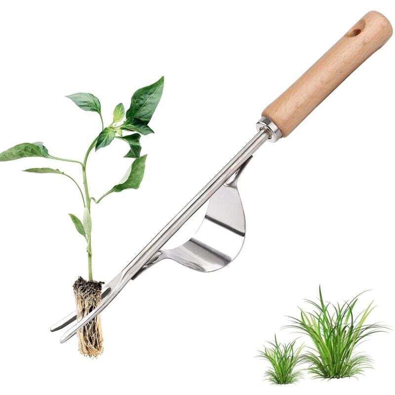 foto del prodotto sarchiatore manuale in acciaio inox con manico in legno, attrezzo per diserbare rapidamente appezzamenti e giardini, forcone manuale a y per