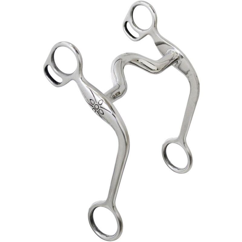 foto del prodotto sartore morso western intero inox con imboccatura a ponte e chiamate incise